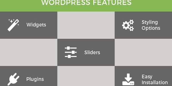 WordPress Theme