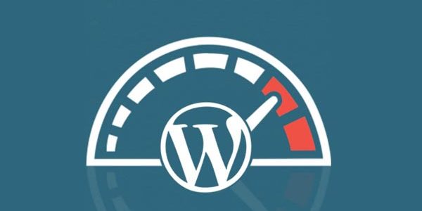 Speed Up Your WordPress Website